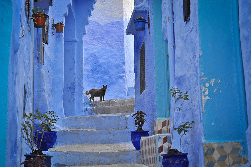 Chefchaouen medina bleue Maroc