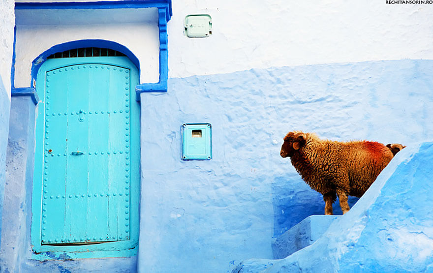 Chefchaouen medina bleue Maroc