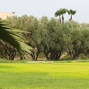 مراكش, School Des Mines De Marrakech, Google Place 