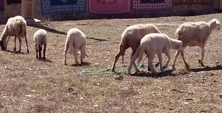 Tizguine: Le village où le temps s’est arrêté….