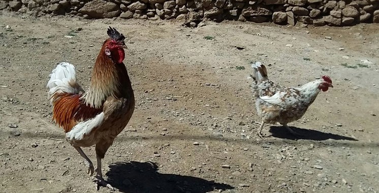 Tizguine: Le village où le temps s’est arrêté….