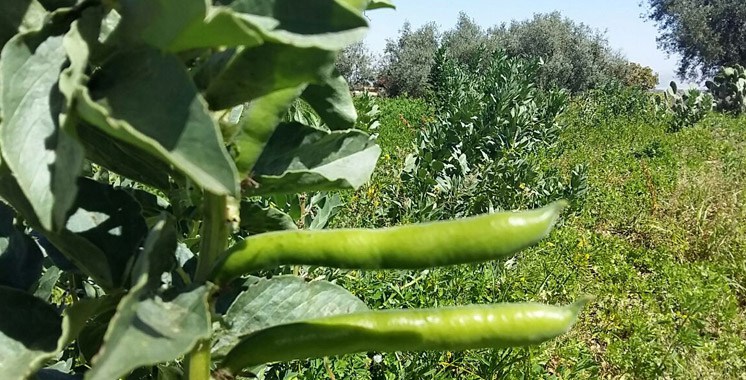 Tizguine: Le village où le temps s’est arrêté….